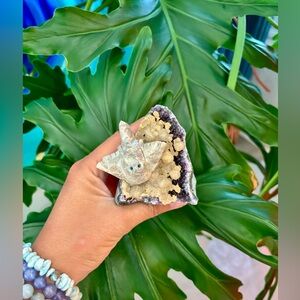 Stingray (soapstone) on Amethyst